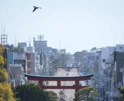 神社から見る鎌倉市の景色